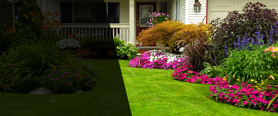 Ames Landscapers