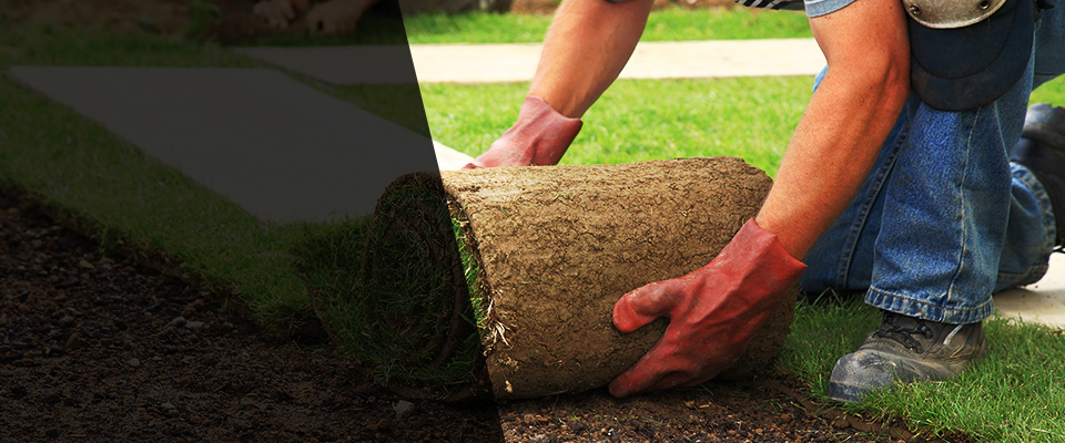 Ames Landscapers